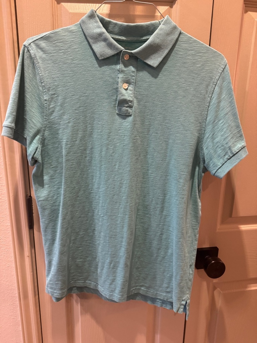 J. Crew Light Seafoam Polo Shirt